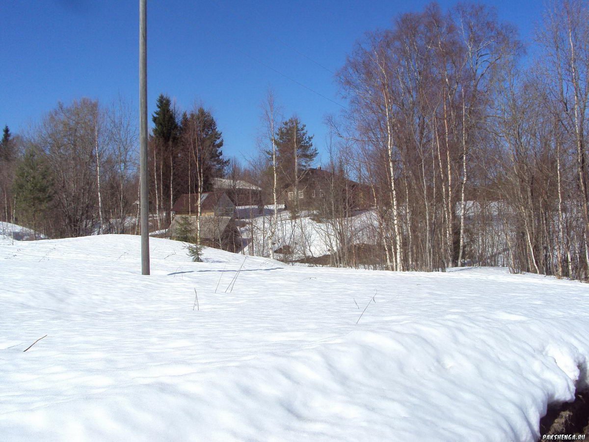 image3_ 